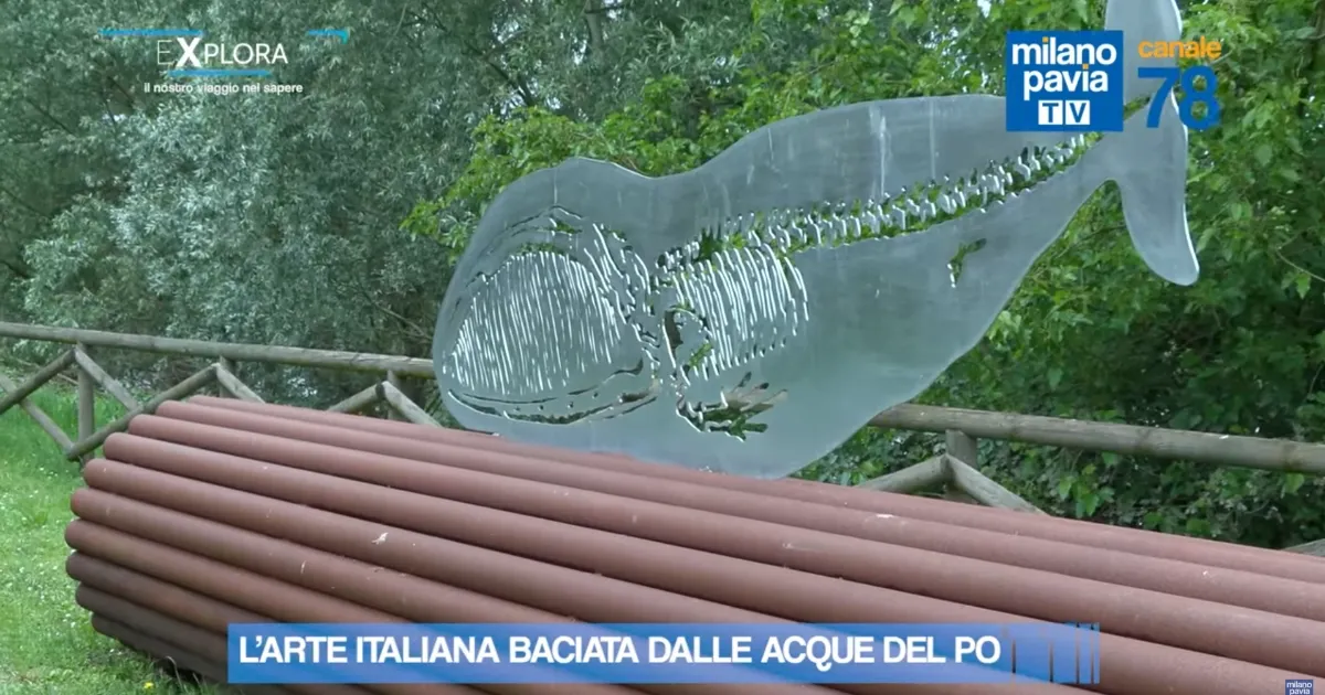 Guarda il video