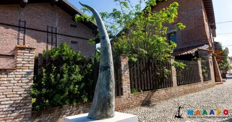 Il nome è nel vello