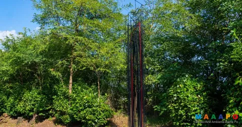 Giordano Bruno guarda in alto